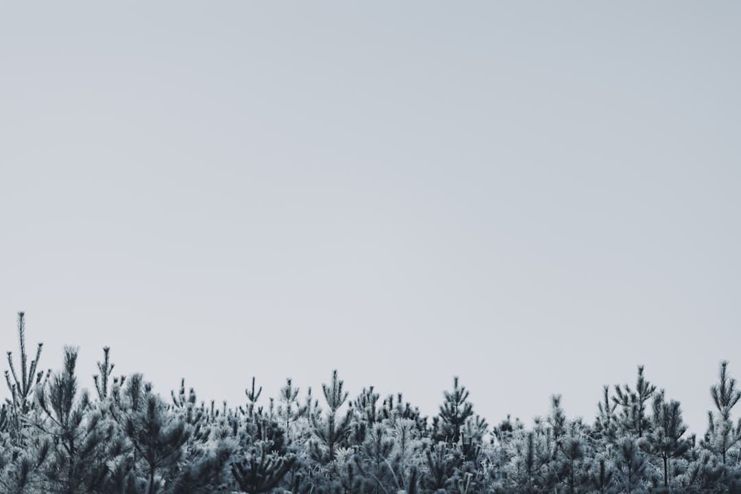 https://static.ws.126.net/163/frontend/images/2022/empty.png